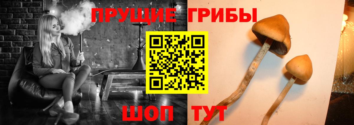 Галлюциногенные грибы Psilocybe  Псилоцибиновые грибы мухоморы  Вход с VPN  Йошкар-Ола 